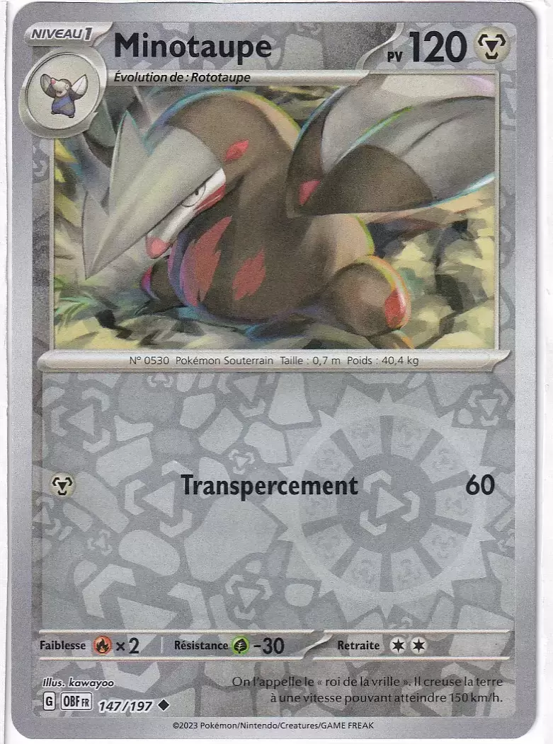 Flammes Obsidiennes - OBFFR - Minotaupe Reverse