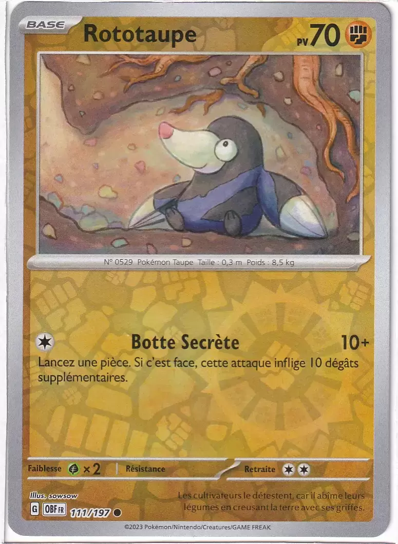 Flammes Obsidiennes - OBFFR - Rototaupe Reverse