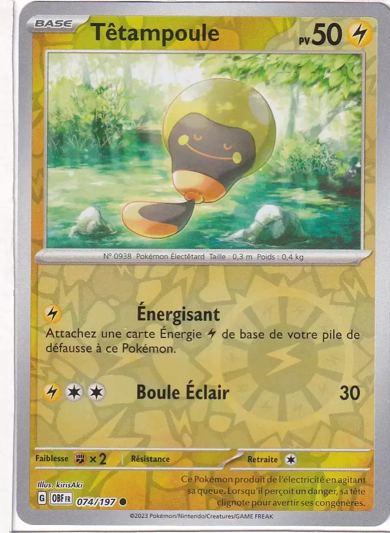 Flammes Obsidiennes - OBFFR - Têtampoule Reverse