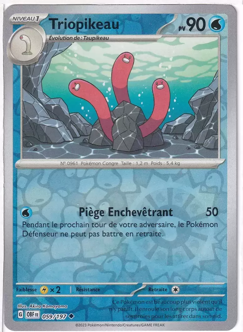 Flammes Obsidiennes - OBFFR - Triopikeau Reverse