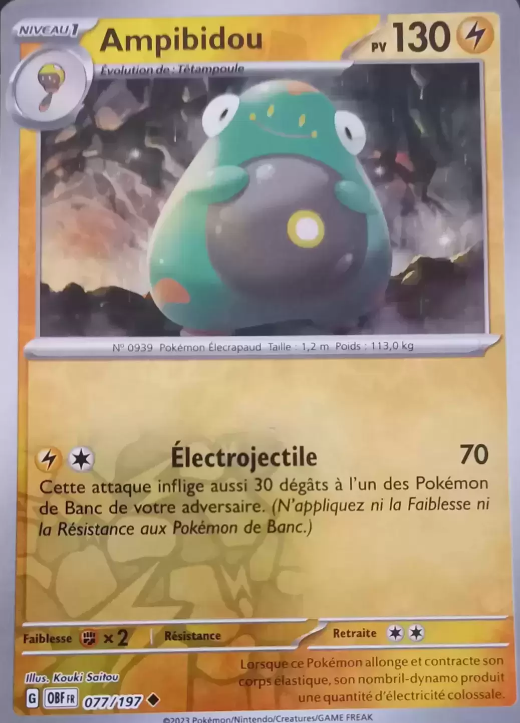 Flammes Obsidiennes - OBFFR - Ampibidou Reverse