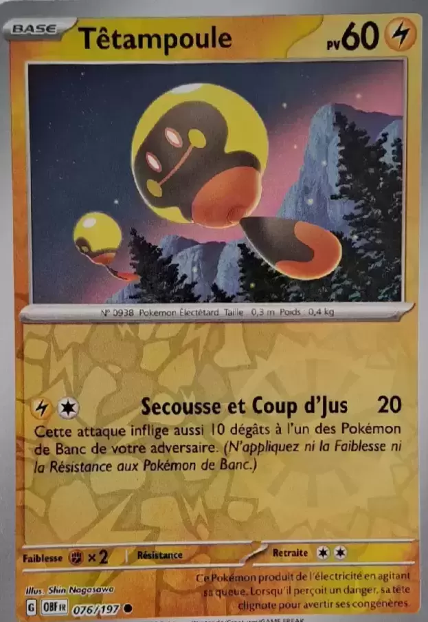 Flammes Obsidiennes - OBFFR - Têtampoule Reverse