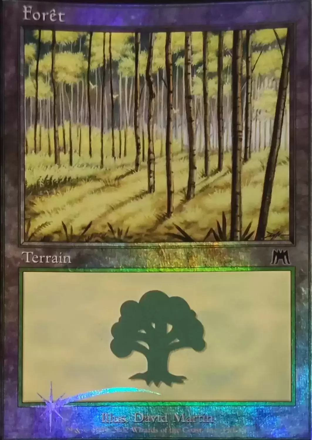 Onslaught - Forêt Foil