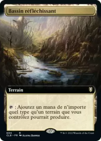 Commander Légendes - Dungeons & Dragons : La bataille de la porte de Baldur - Bassin réfléchissant