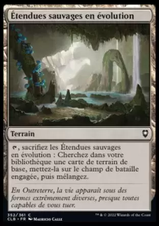 Commander Légendes - Dungeons & Dragons : La bataille de la porte de Baldur - Étendues sauvages en évolution