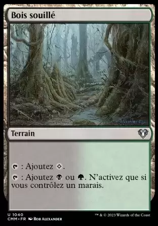 Commander MASTERS - Bois souillé