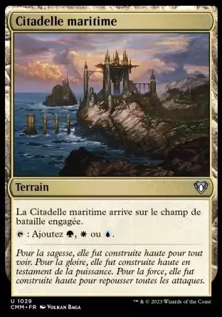Commander MASTERS - Citadelle maritime