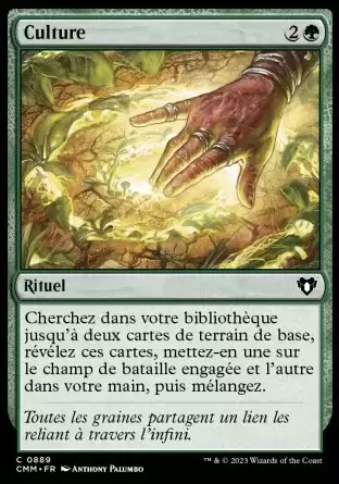 Commander MASTERS - Culture