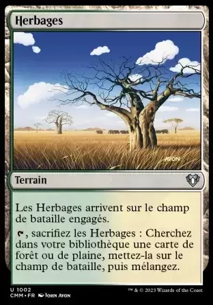 Commander MASTERS - Herbages