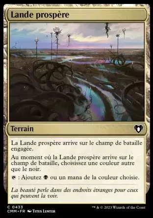 Commander MASTERS - Lande prospère
