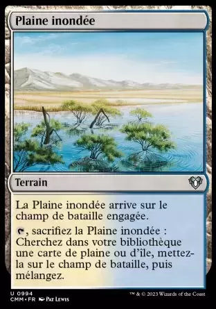 Commander MASTERS - Plaine inondée