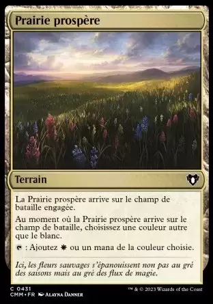 Commander MASTERS - Prairie prospère