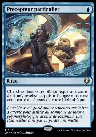 Commander MASTERS - Précepteur particulier