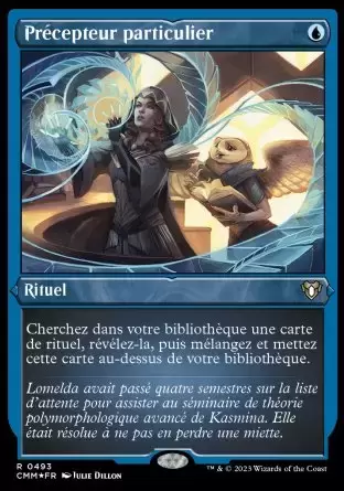 Commander MASTERS - Précepteur particulier