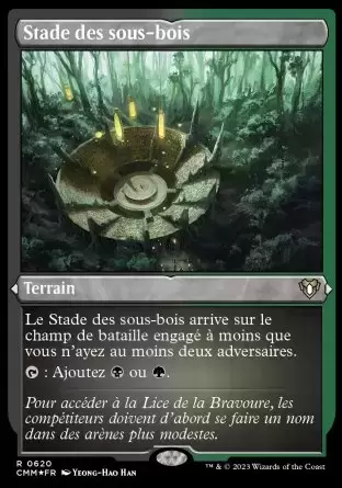 Commander MASTERS - Stade des sous-bois