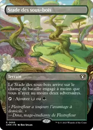 Commander MASTERS - Stade des sous-bois