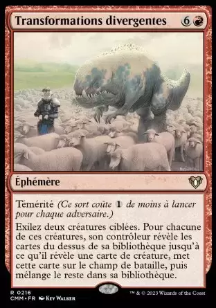 Commander MASTERS - Transformations divergentes