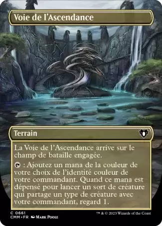 Commander MASTERS - Voie de l\'Ascendance