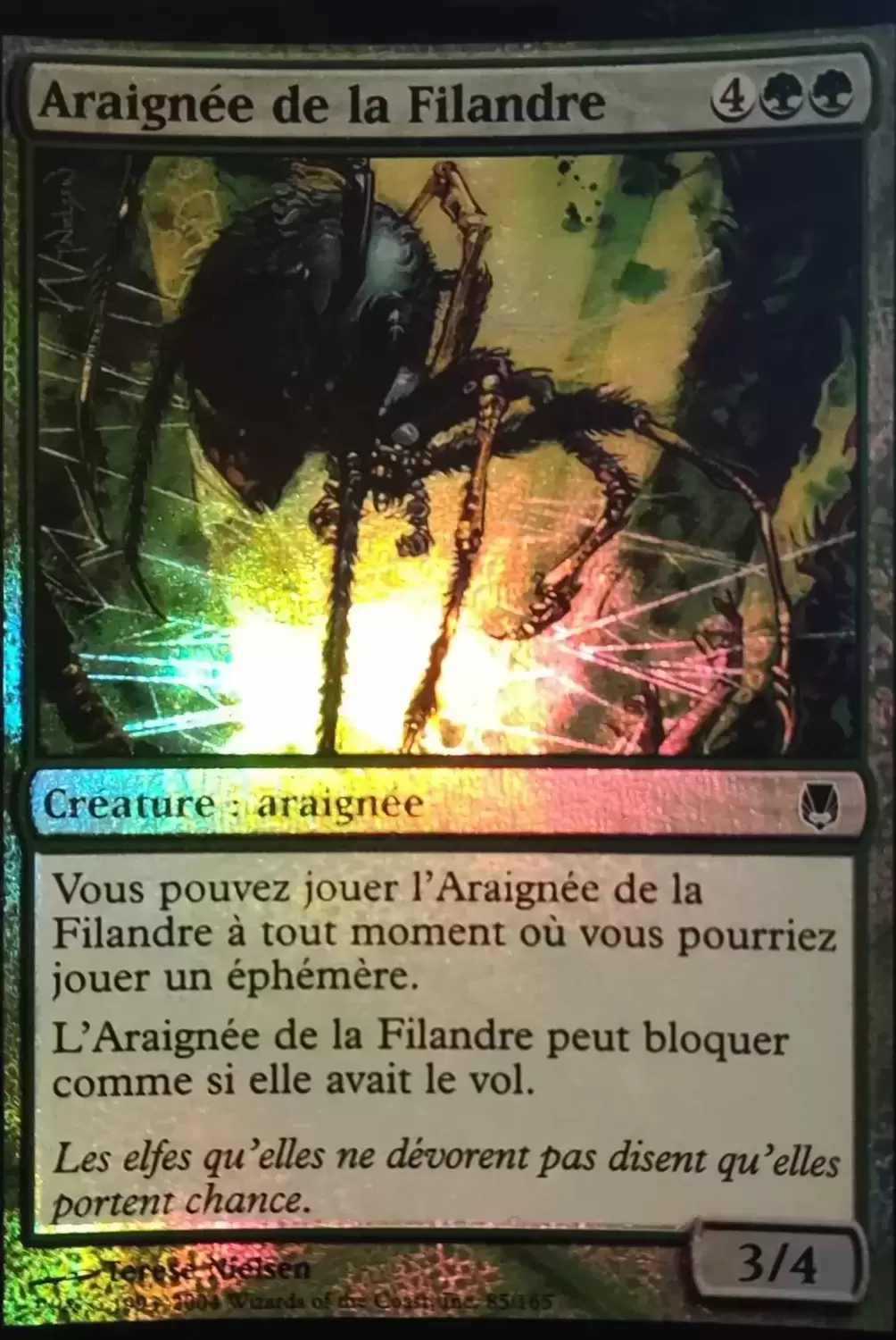 Sombracier - Araignée de la filandre Foil