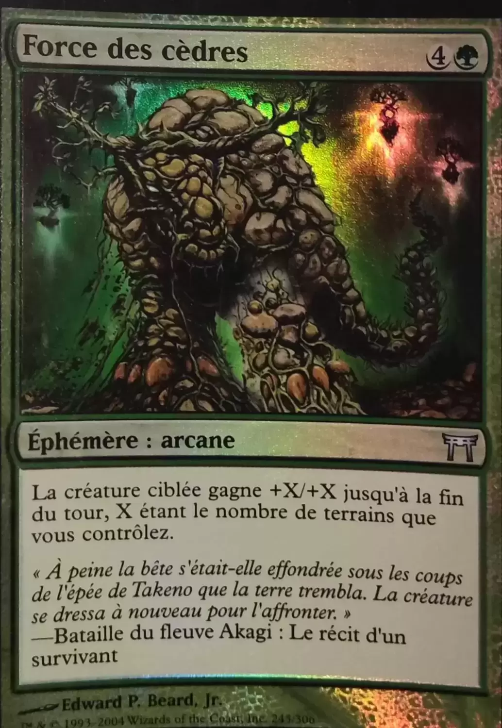 Guerriers de Kamigawa - Force des cèdres Foil