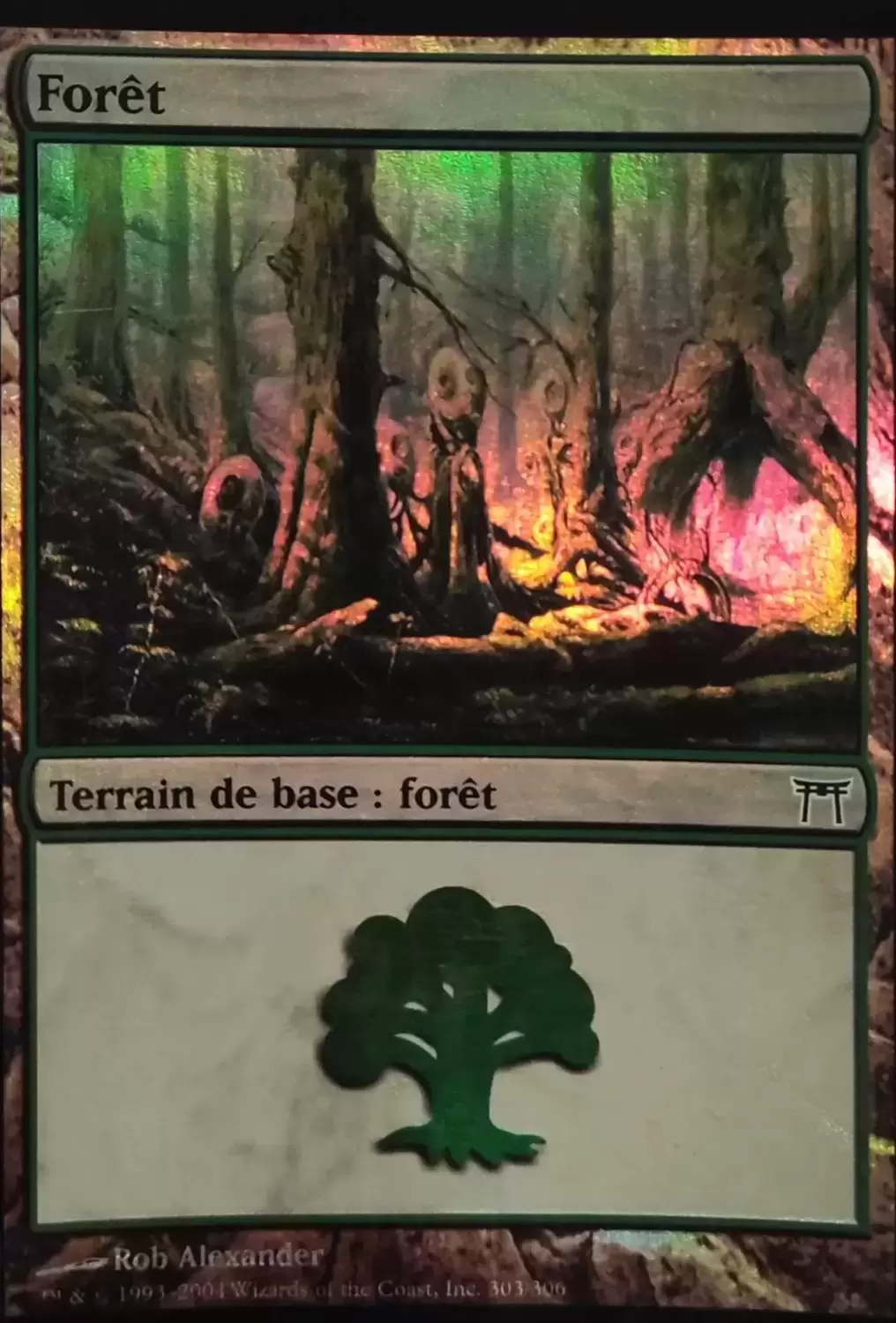 Guerriers de Kamigawa - Forêt Foil