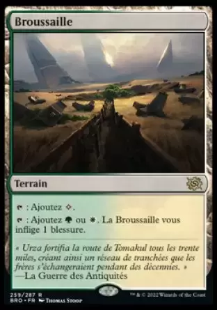 La Guerre Fratricide - Broussaille