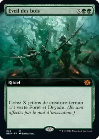 La Guerre Fratricide - Éveil des bois