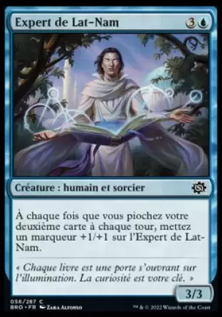 La Guerre Fratricide - Expert de Lat-Nam