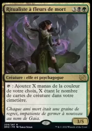La Guerre Fratricide - Ritualiste à fleurs de mort