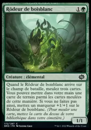 La Guerre Fratricide - Rôdeur de boisblanc