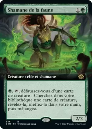 La Guerre Fratricide - Shamane de la faune