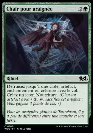 Les Friches d\'Eldraine - Chair pour araignée