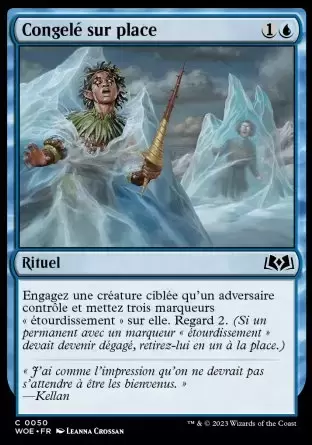 Les Friches d\'Eldraine - Congelé sur place