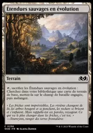 Les Friches d\'Eldraine - Étendues sauvages en évolution