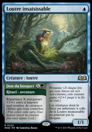 Les Friches d\'Eldraine - Loutre insaisissable