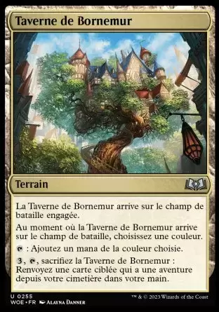 Les Friches d\'Eldraine - Taverne de Bornemur