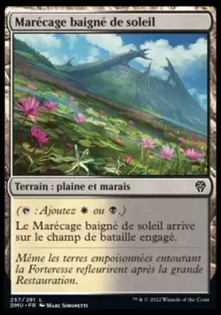Dominaria Uni - Marécage baigné de soleil