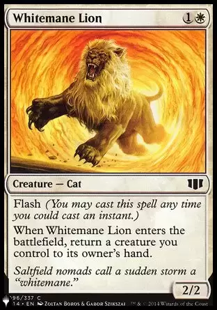 The list - Lion à crinière blanche