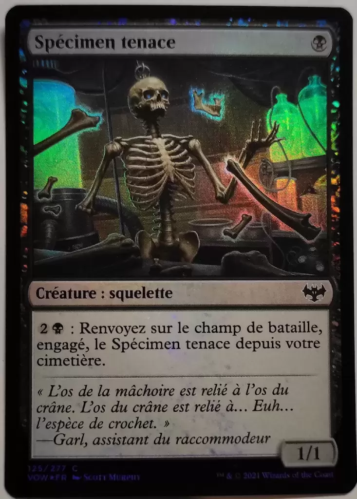 Extension - Spécimen tenace Foil