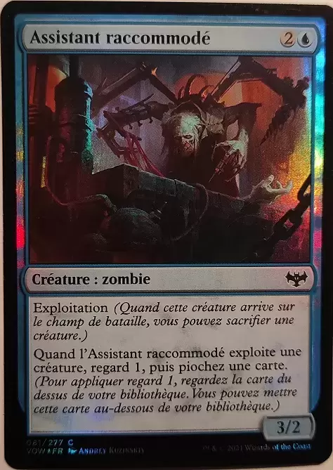 Extension - Assistant raccommodé Foil