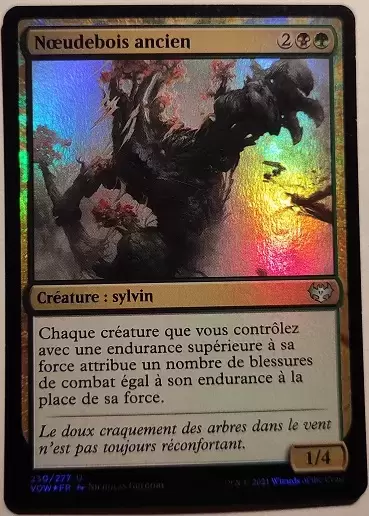 Extension - Noeudebois ancien Foil