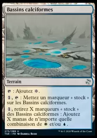 Spirale temporelle Remastered - Bassins calciformes