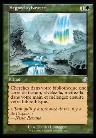 Spirale temporelle Remastered - Regard sylvestre
