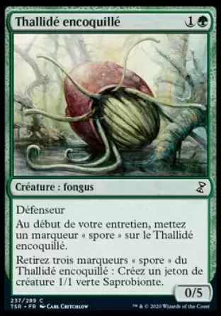 Spirale temporelle Remastered - Thallidé encoquillé