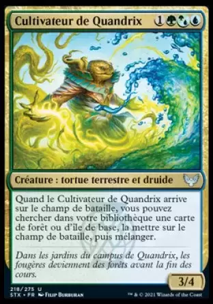 Strixhaven - Cultivateur de Quandrix Foil