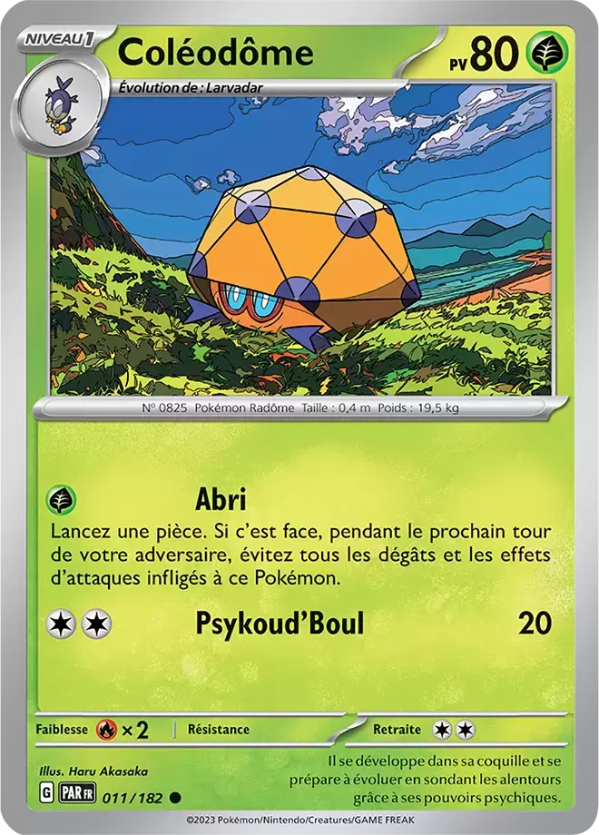 Faille Paradoxe - PARFR - Coléodôme