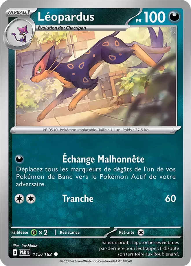 Faille Paradoxe - PARFR - Léopardus