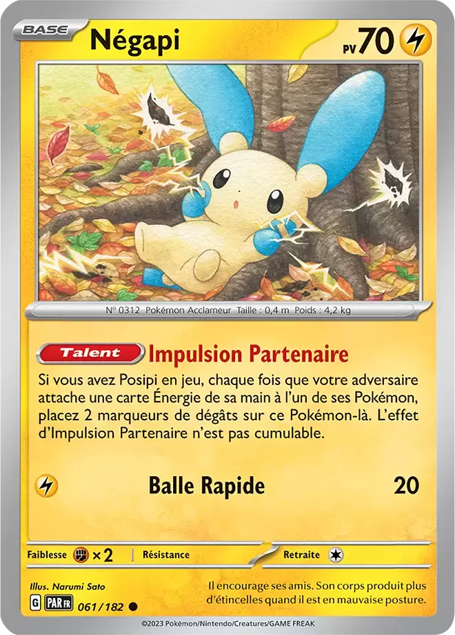 Faille Paradoxe - PARFR - Négapi