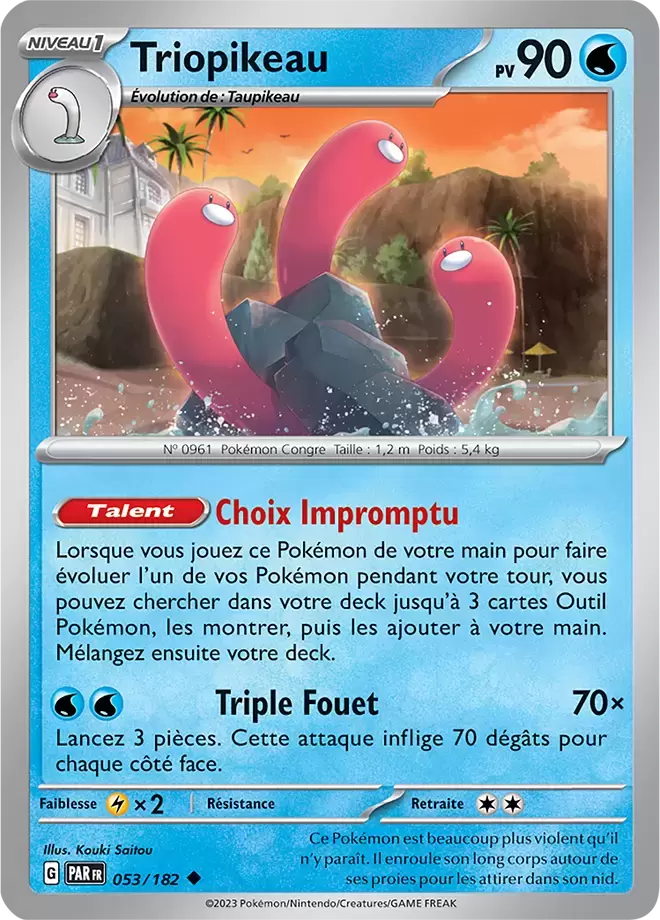 Faille Paradoxe - PARFR - Triopikeau