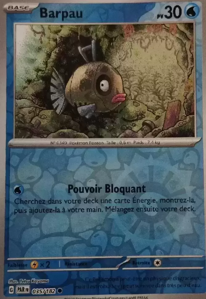 Faille Paradoxe - PARFR - Barpau Reverse